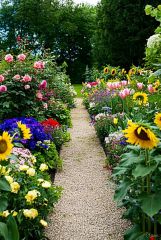 Garden Path Parfümöl - Für weitere Informationen anklicken